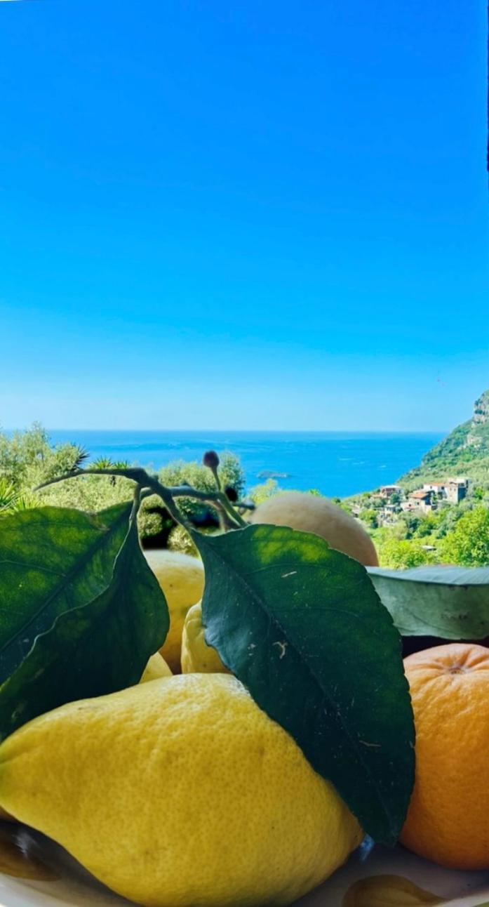 فيلا Wanderlust بيانو دي سورينتو المظهر الخارجي الصورة